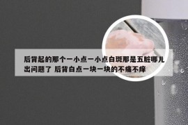 后背起的那个一小点一小点白斑那是五脏哪儿出问题了 后背白点一块一块的不痛不痒