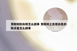 发财树的白斑怎么回事 发财树上出现白色的斑点是怎么回事