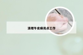 清理牛皮癣亮点工作