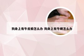 狗身上有牛皮癣怎么办 狗身上有牛蜱怎么办