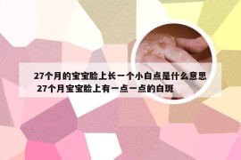 27个月的宝宝脸上长一个小白点是什么意思 27个月宝宝脸上有一点一点的白斑