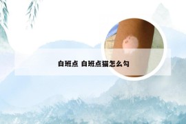 白班点 白班点猫怎么勾