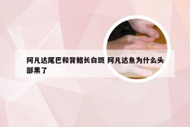 阿凡达尾巴和背鳍长白斑 阿凡达鱼为什么头部黑了