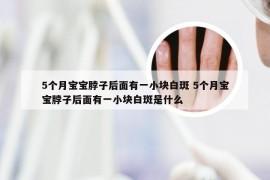 5个月宝宝脖子后面有一小块白斑 5个月宝宝脖子后面有一小块白斑是什么