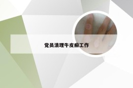 党员清理牛皮癣工作