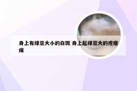 身上有绿豆大小的白斑 身上起绿豆大的疙瘩痒