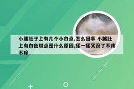 小腿肚子上有几个小白点,怎么回事 小腿肚上有白色斑点是什么原因,揉一揉又没了不疼不痒