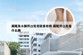 阑尾及小肠开口处见较多白斑 阑尾开口处是什么肠