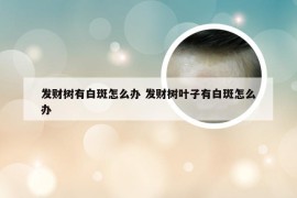 发财树有白斑怎么办 发财树叶子有白斑怎么办