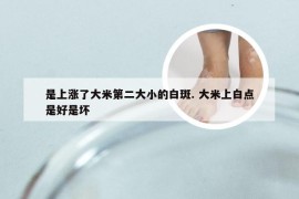 是上涨了大米第二大小的白斑. 大米上白点是好是坏