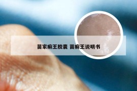 苗家癣王胶囊 苗癣王说明书