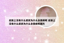 皮肤上没有什么症状为什么会很痒呢 皮肤上没有什么症状为什么会很痒呢图片