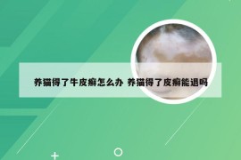 养猫得了牛皮癣怎么办 养猫得了皮癣能退吗