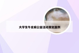 大学生牛皮癣公益活动策划案例