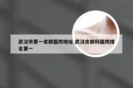 武汉市第一皮肤医院地址 武汉皮肤科医院排名第一