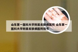 山东第一医科大学附属皮肤病医院 山东第一医科大学附属皮肤病医院挂号