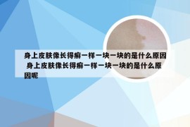 身上皮肤像长得癣一样一块一块的是什么原因 身上皮肤像长得癣一样一块一块的是什么原因呢