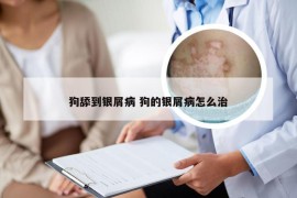 狗舔到银屑病 狗的银屑病怎么治