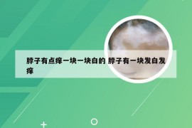 脖子有点痒一块一块白的 脖子有一块发白发痒