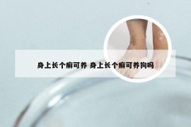 身上长个癣可养 身上长个癣可养狗吗