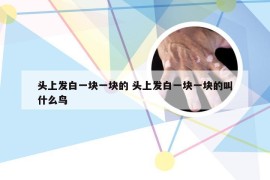 头上发白一块一块的 头上发白一块一块的叫什么鸟