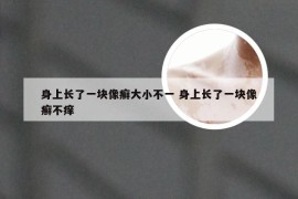 身上长了一块像癣大小不一 身上长了一块像癣不痒