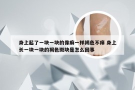 身上起了一块一块的像癣一样褐色不痒 身上长一块一块的褐色斑块是怎么回事